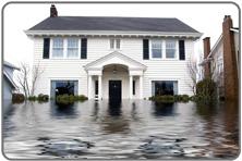AZ FLOODED in Arizona offers water damage repair, 24 Hour Emergency Water Extraction,  Mold Removal Company, Free Mold Inspection, Discount Mold Removal, Black Mold Repair  AZ